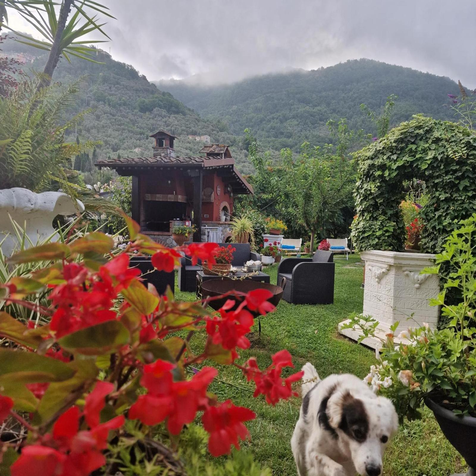Jasmine Cottage Luni Zewnętrze zdjęcie