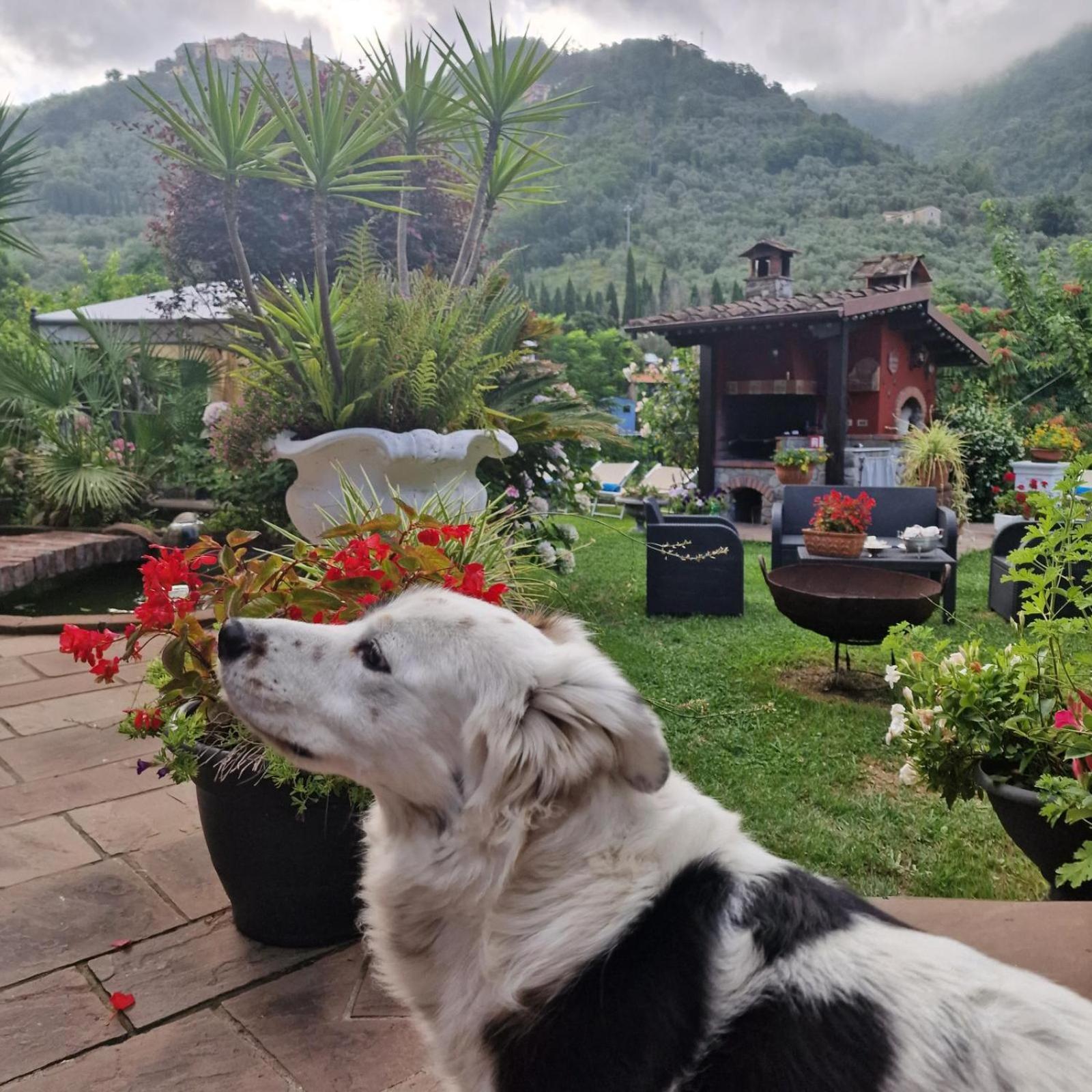 Jasmine Cottage Luni Zewnętrze zdjęcie