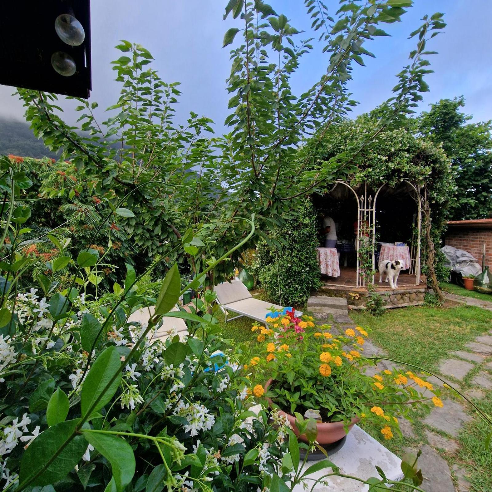 Jasmine Cottage Luni Zewnętrze zdjęcie