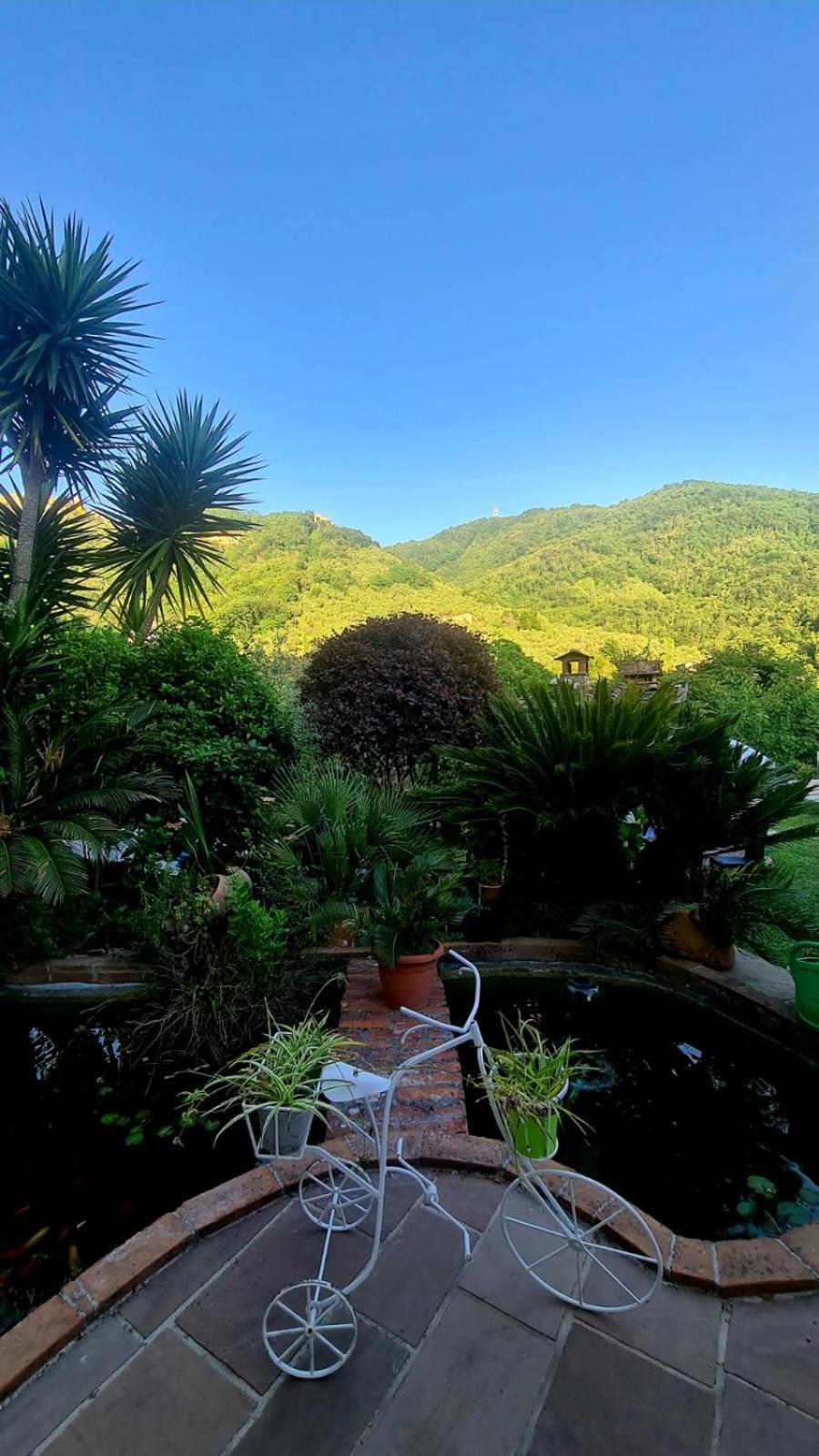 Jasmine Cottage Luni Zewnętrze zdjęcie